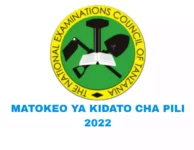 (NECTA) Matokeo Ya Kidato Cha Pili 2024/2025 Form Two