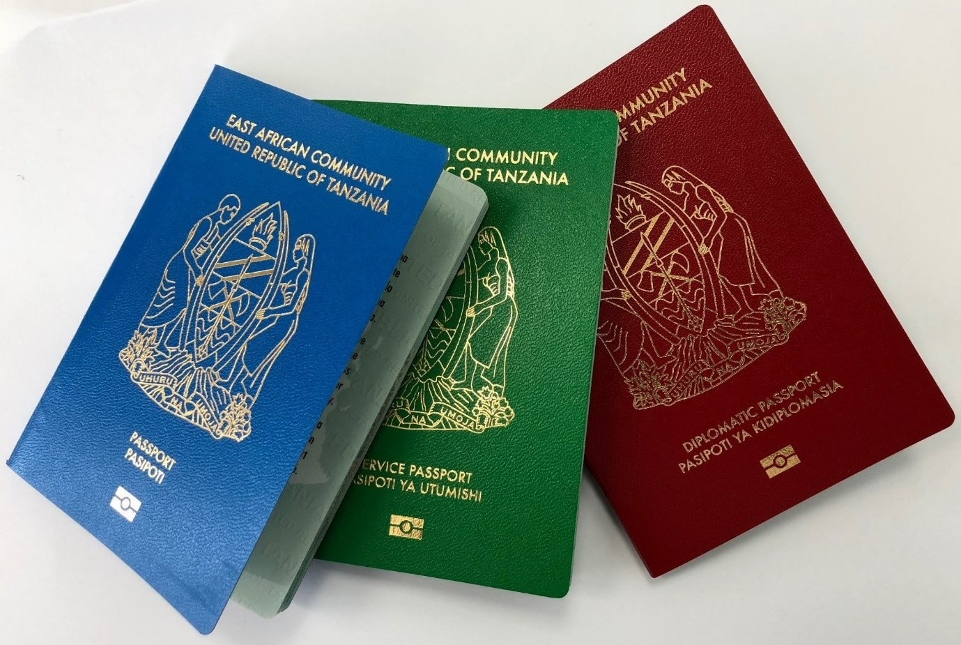 How to Apply for Passport in Tanzania (2024) 1